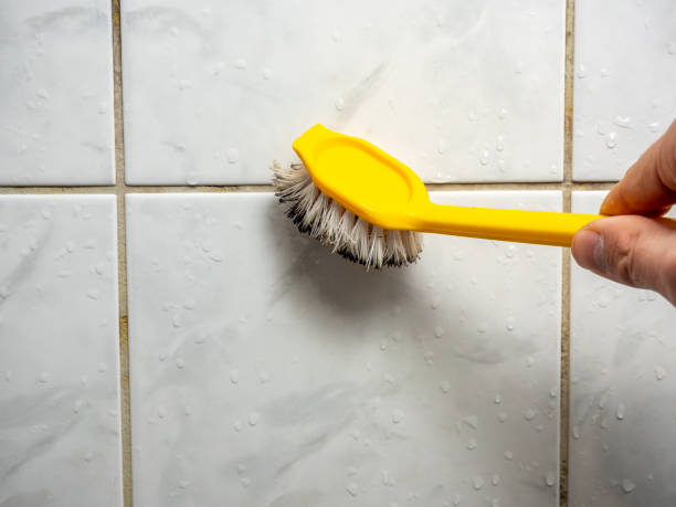 Best Black Mold Removal  in Cheney, KS