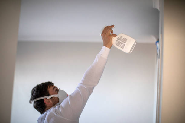 Best Mold Testing and Removal  in Cheney, KS