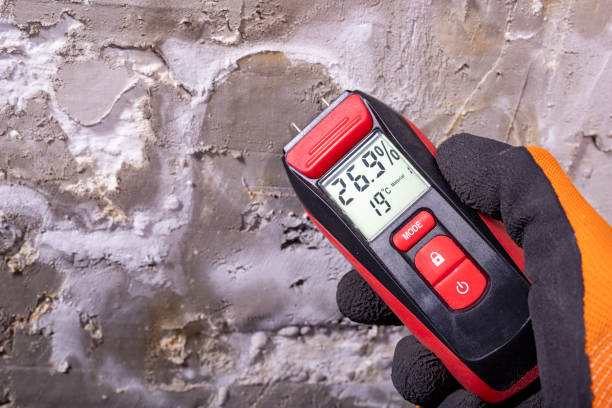 Best Water Damage Restoration  in Cheney, KS