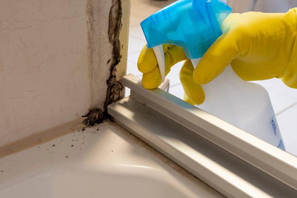 Best Mold Testing  in Cheney, KS