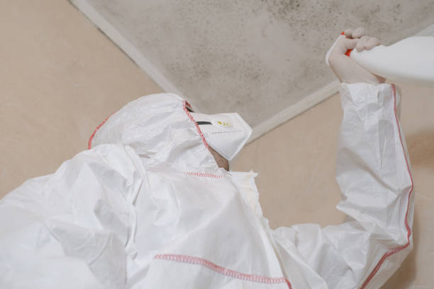 Best Crawl Space Mold Removal  in Cheney, KS