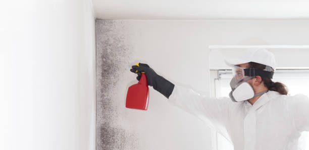 Best Residential Mold Removal  in Cheney, KS