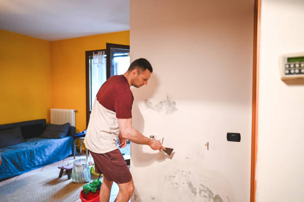 Best Home Mold Removal  in Cheney, KS