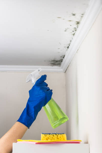 Best Mold Testing  in Cheney, KS